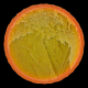 Illustration for article titled These Cross-Sections of Golf Balls Look Like Theyre From Outer Space